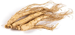 Asian ginseng roots
