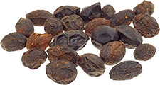 Dried saw palmetto berries